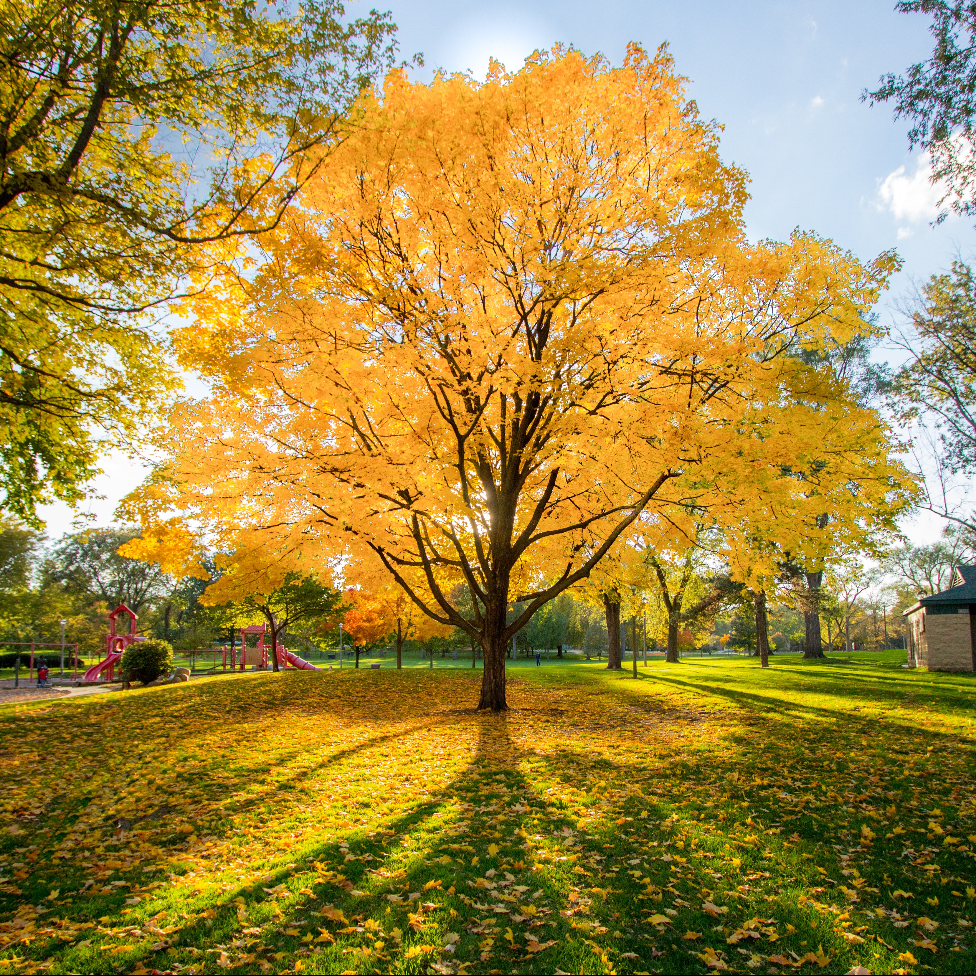 The Outdoor, Active Lifestyle